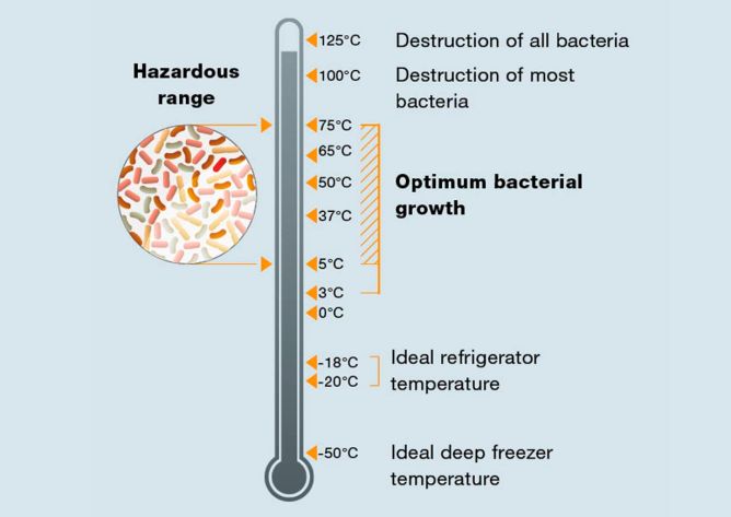 细菌繁殖温度